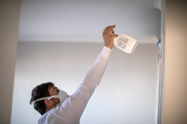 Best Fast Mold Removal  in Foreman, AR
